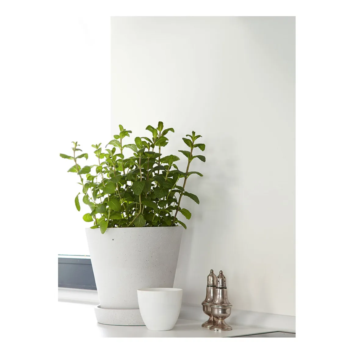 Alpina Feine Farben Zeit der Eisblumen 2,5 L