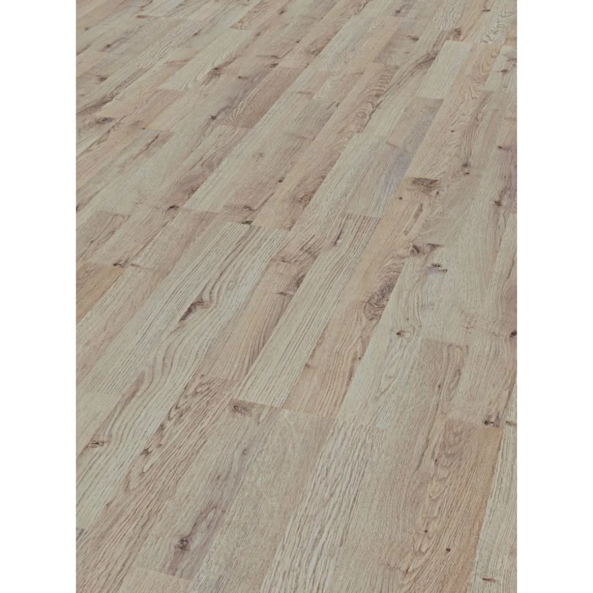 Basic Laminatboden Eiche SB hell 6 mm 137,6 x 19,3 cm