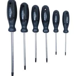 Basic Schraubendrehersatz TX 6 teilig