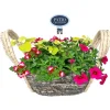 Bepflanzter Seegraskorb 21x11 cm, verschiedene Bepflanzungen