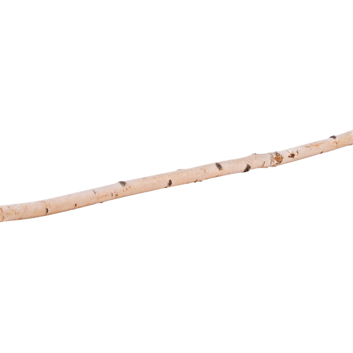 Birkenstamm 90 cm Durchmesser 2-4 cm