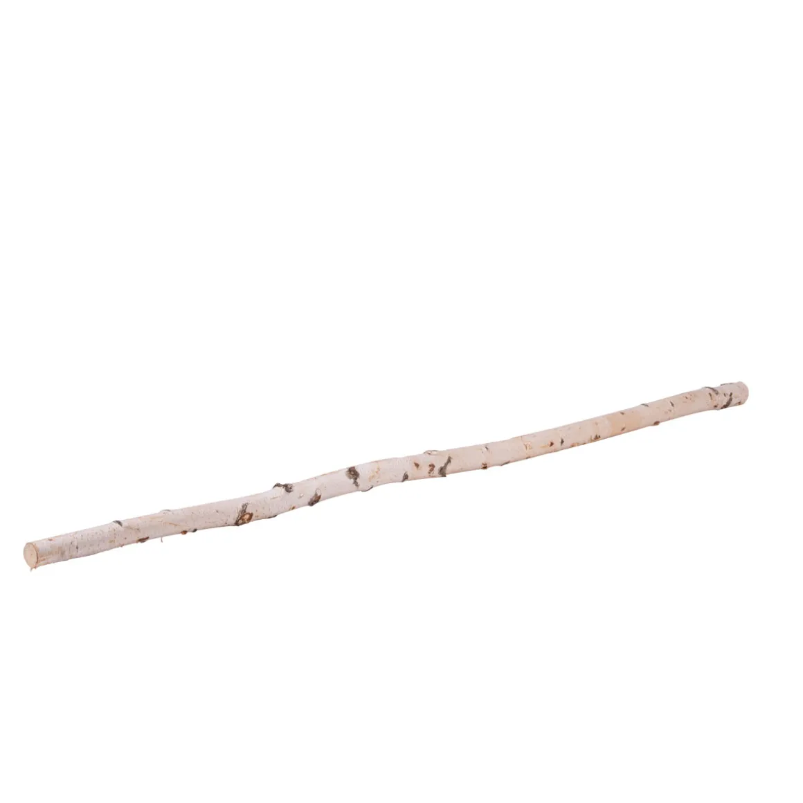 Birkenstamm Länge 180 cm Durchmesser 4-6 cm