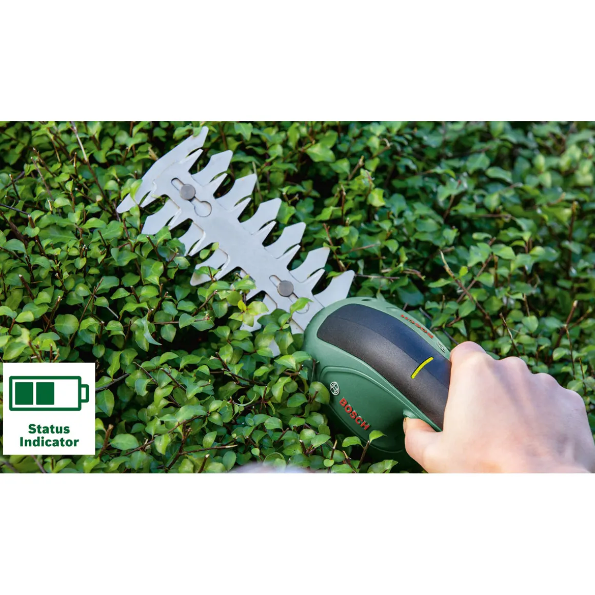 Bosch Grasschermesser Isio