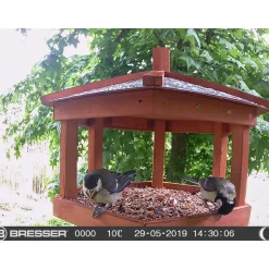 Bresser Vogelkamera