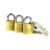 Burg Wächter Vorhängeschloss-Set Trio 222 30 36,7 25 x 36,7 x 9,3 mm Messing