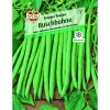 Buschbohne Cropper Teepee