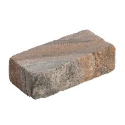 Diephaus Mauerstein Cup-Medio Muschelkalk 42 x 21 x 12,5 cm