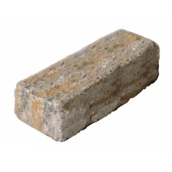 Diephaus Mauerstein Cup-Mini Muschelk. 50 x 16,5 x 15 cm