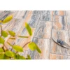 Diephaus Terrassenplatte No 1 Parasol Muschelkalk 80 x 40 x 5 cm