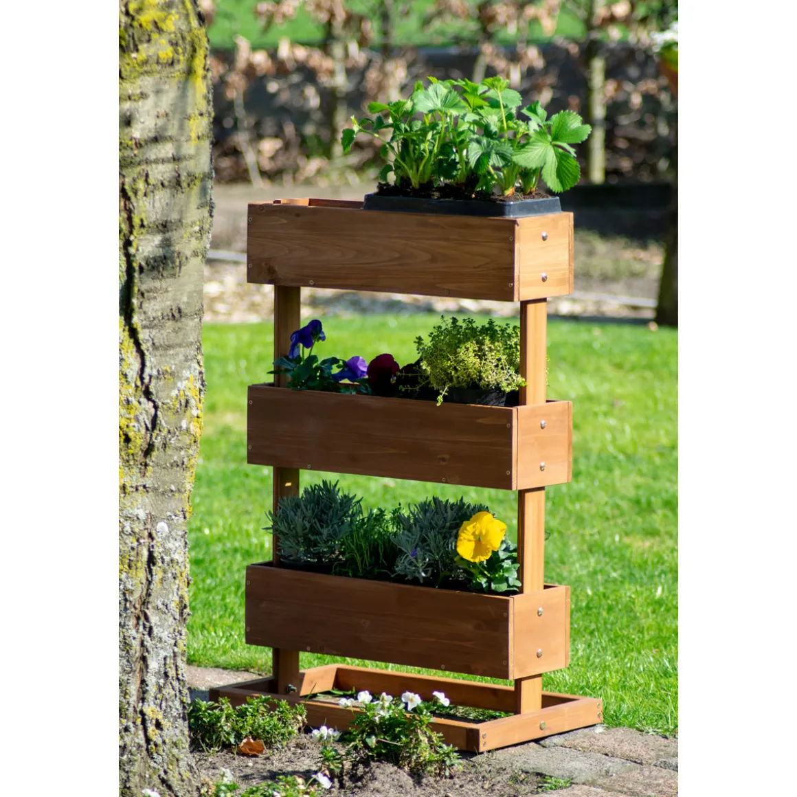 dobar Vertikalbeet 49,5 x 78 x 30 cm braun