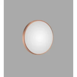 DSK Design Spiegel Silver Coiffeur Copper Dm 50 cm