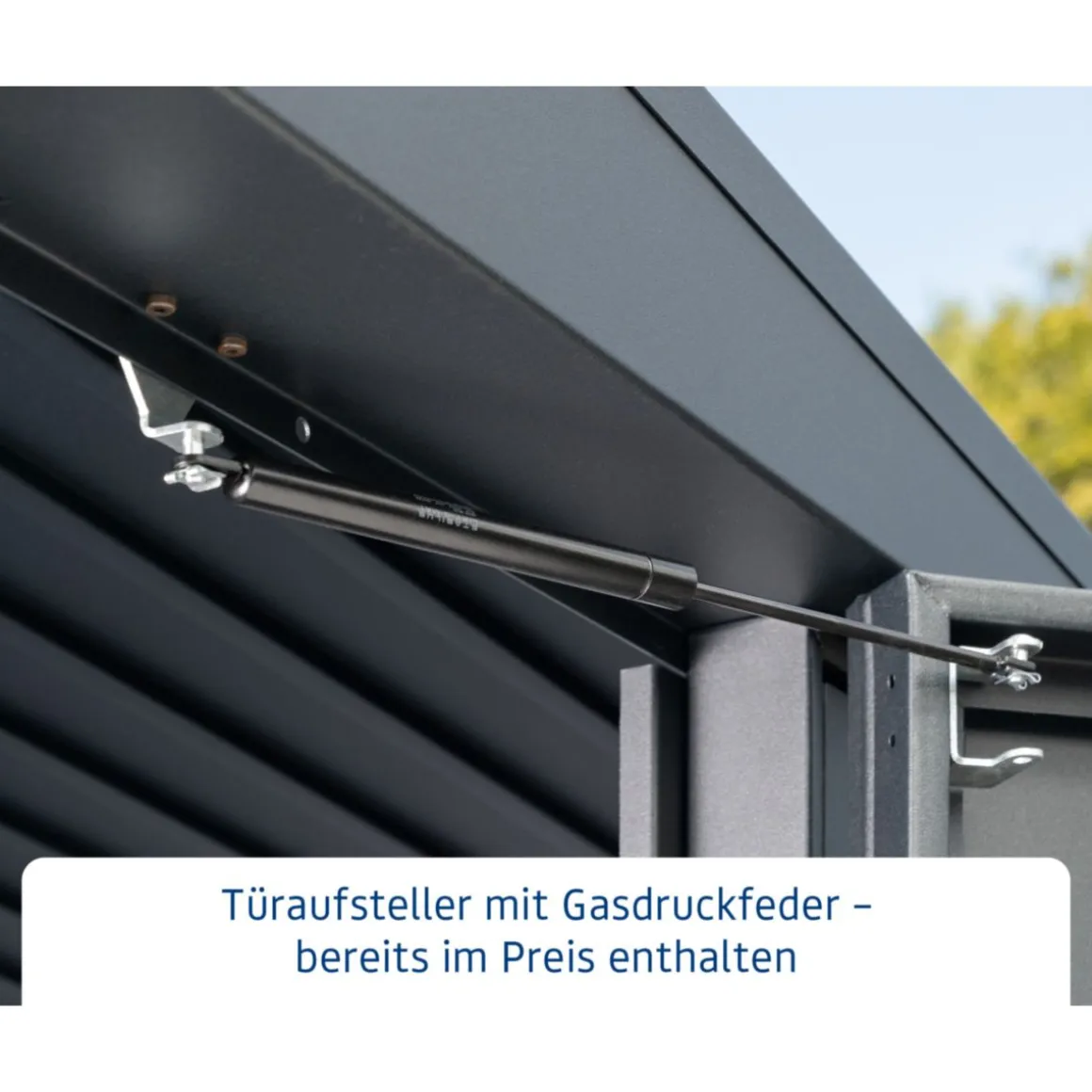 EcoStar Gerätehaus Elegant-STyp 3RAL9007 2 flg