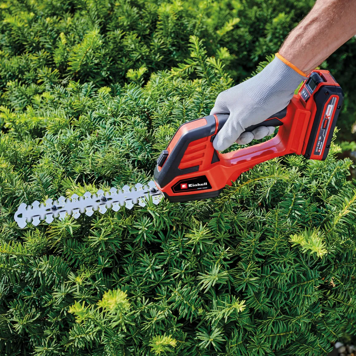 Einhell Akku Gras u.Strauchschere GE-CG 18/100 Li T-Solo