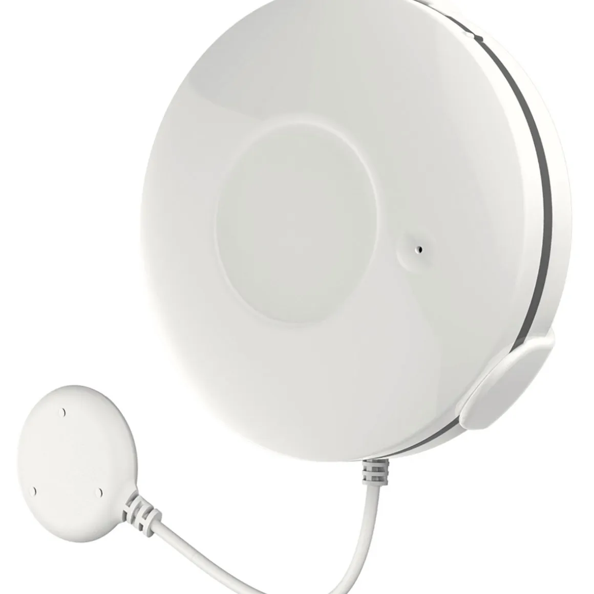 Fontastic Wassermelder Smart Home