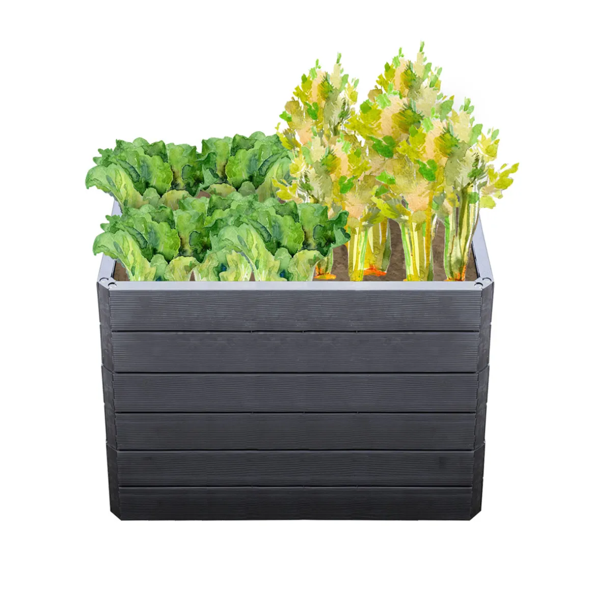 Garantia Hochbeet ERGO QUADRO M 75 Wood inkl FLORA