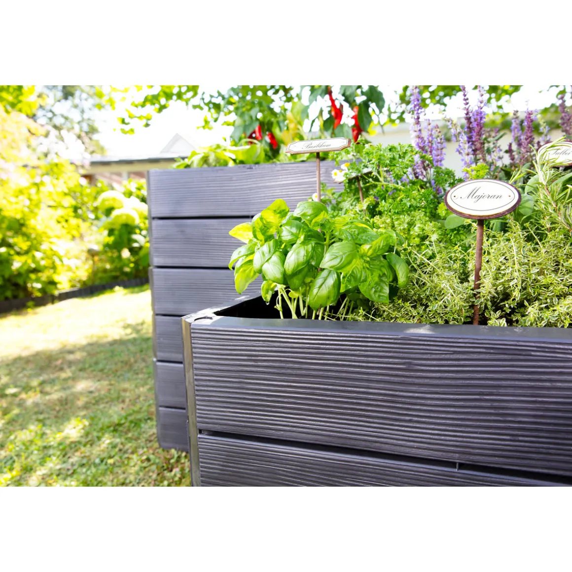Garantia Hochbeet ERGO QUADRO M 75 Wood inkl FLORA