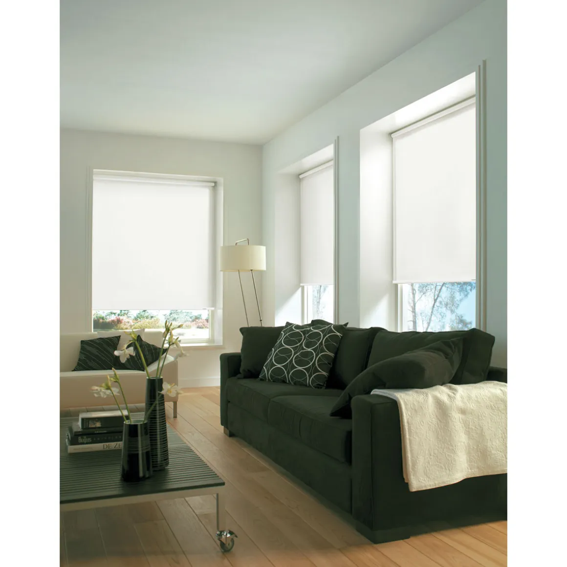 Gardinia Seitenzugrollo 52 x 180 cm Uni weiß