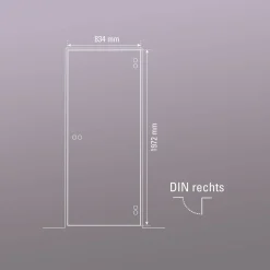 Glasdrehtür NOVA 545 83,4 x 197,2 cm Rechts