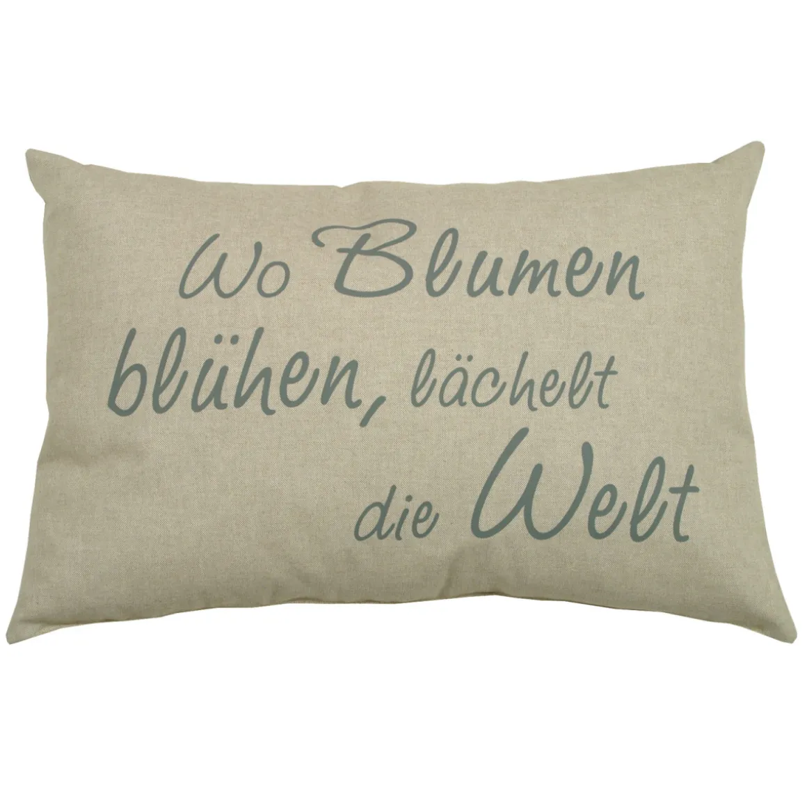 GO-DE Spruechekissen m Fuellung Sophia 2943 ca 40 x 40 cm beige