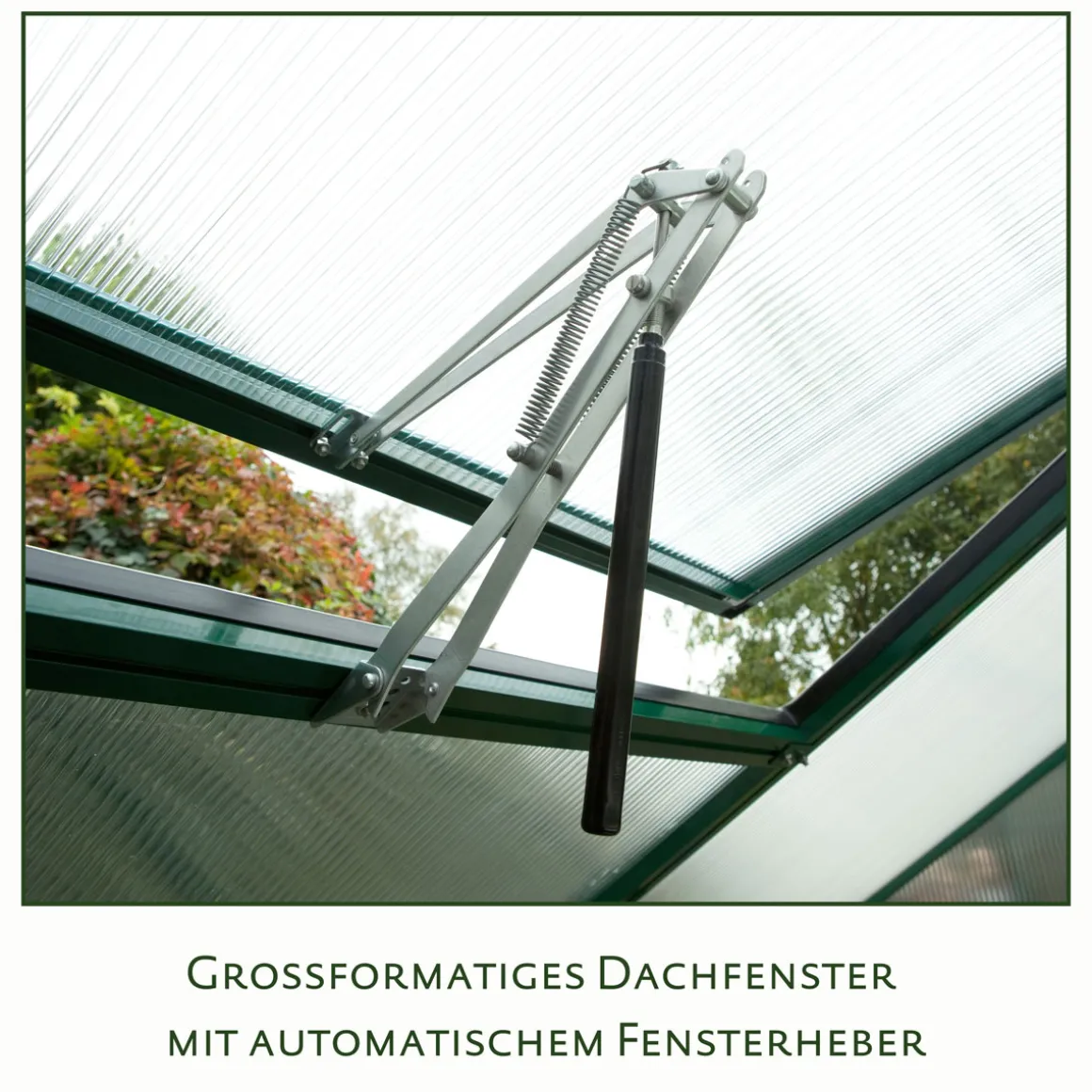 KGT Gewächshaus Lilie III 9,6m² schwarz