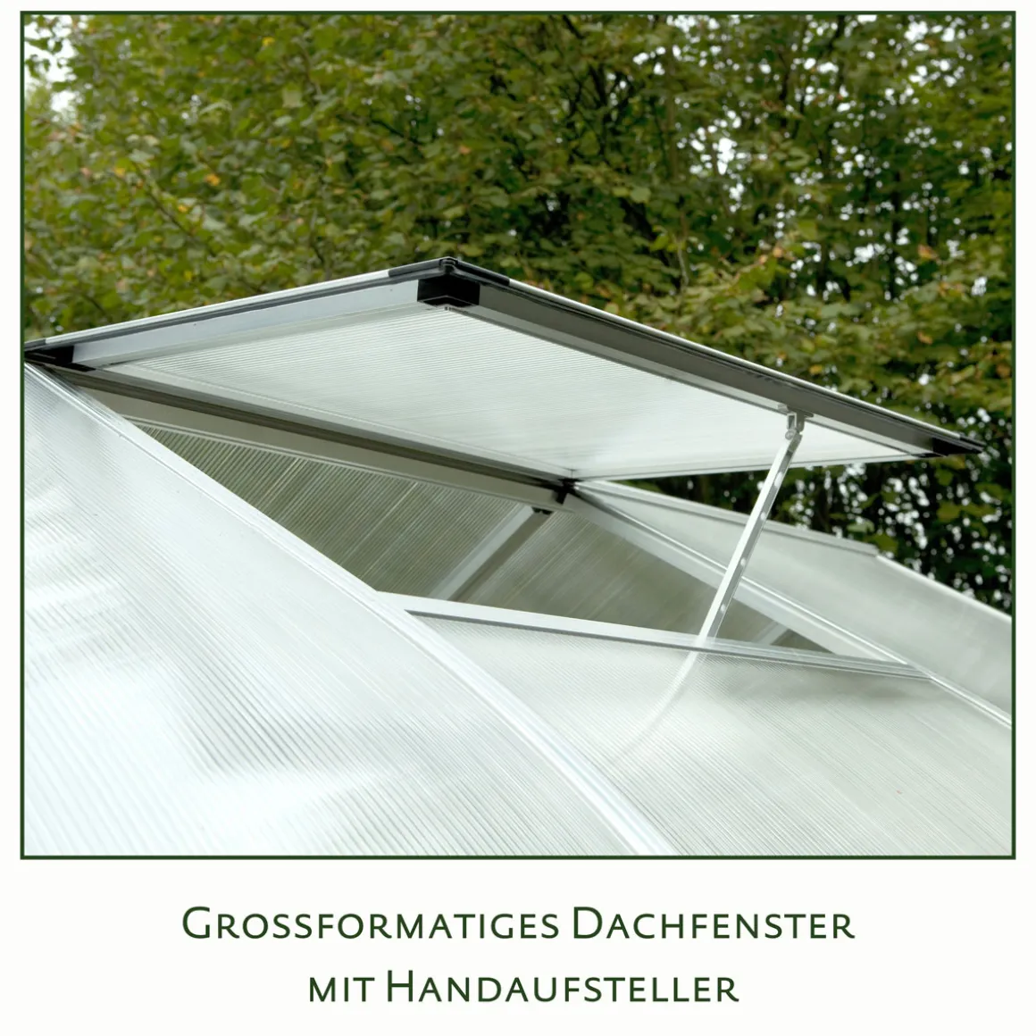 KGT Gewächshaus Rhodo IV 6,8 m² silber