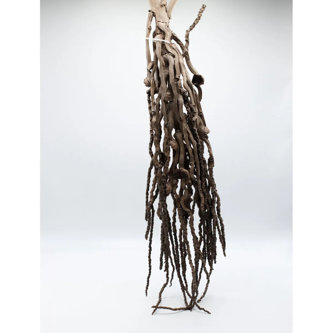 Kokosrispe 45-60 cm