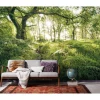 Komar Vlies Fototapete Mystic Path 400x250 cm