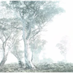 Komar Vlies Fototapete Magic Trees 300x280 cm