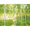 Komar Papier-Fototapete Sunday 8-teilig 368 x 254 cm