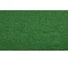 Kunstrasen Alteria mit Noppen grün 200 cm