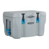 Lifetime Kühlbox Premium 52 L 44,8x68,1x43,8cm Grau
