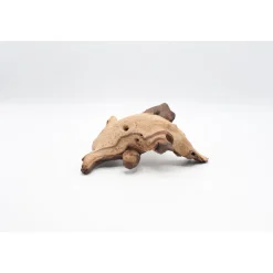 Mopani Wurzel mittel