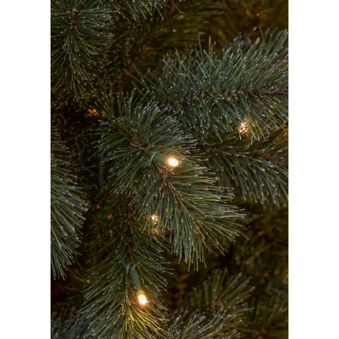 Norwood Weihnachtsbaum grün warm weiß LED 155x97 cm mit Timer & Dimmer