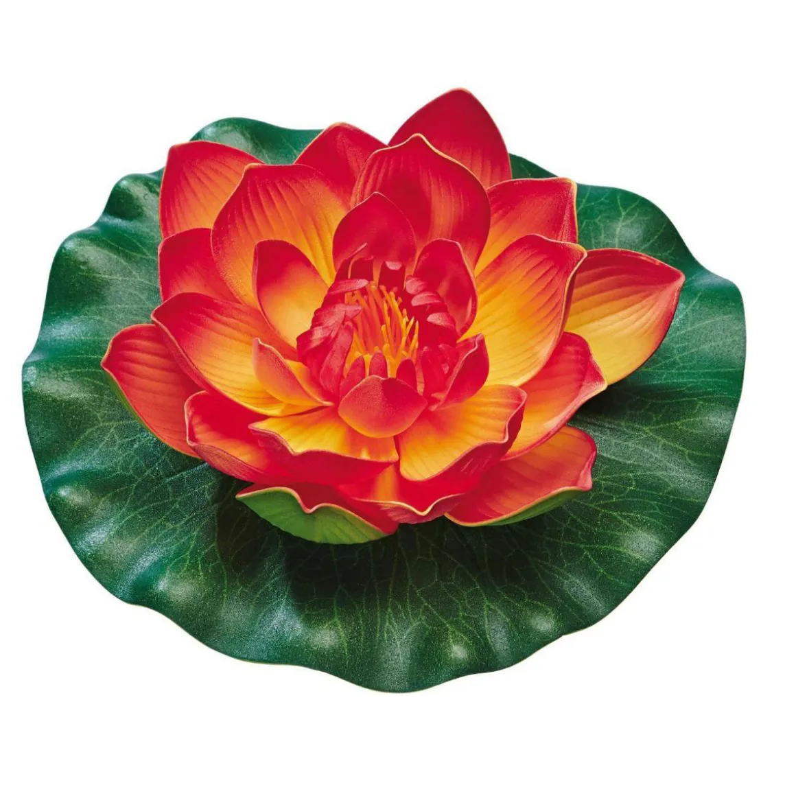 Oase PontecPondo Lily orange