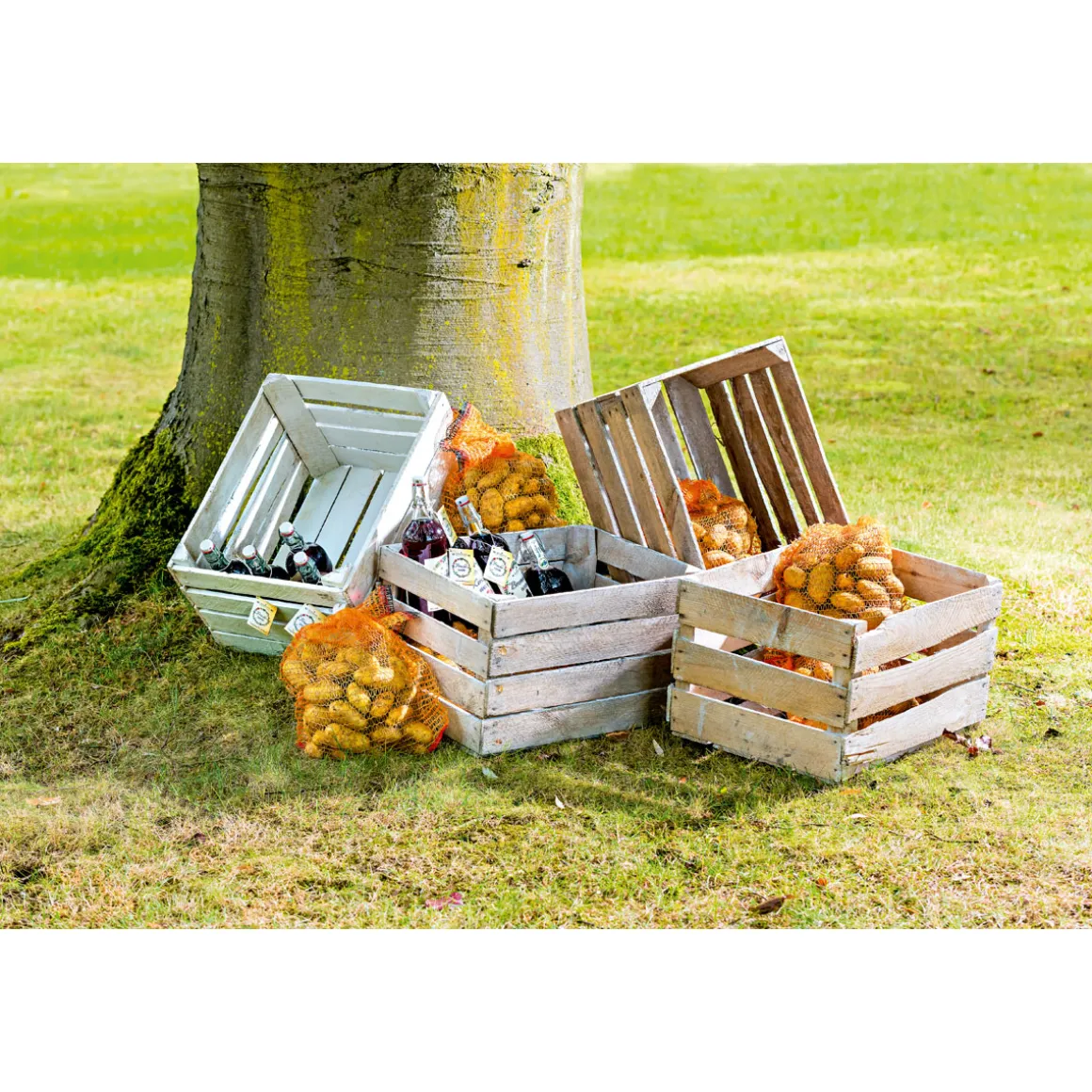 Obstkiste gebraucht 50 x 40 x 30 cm