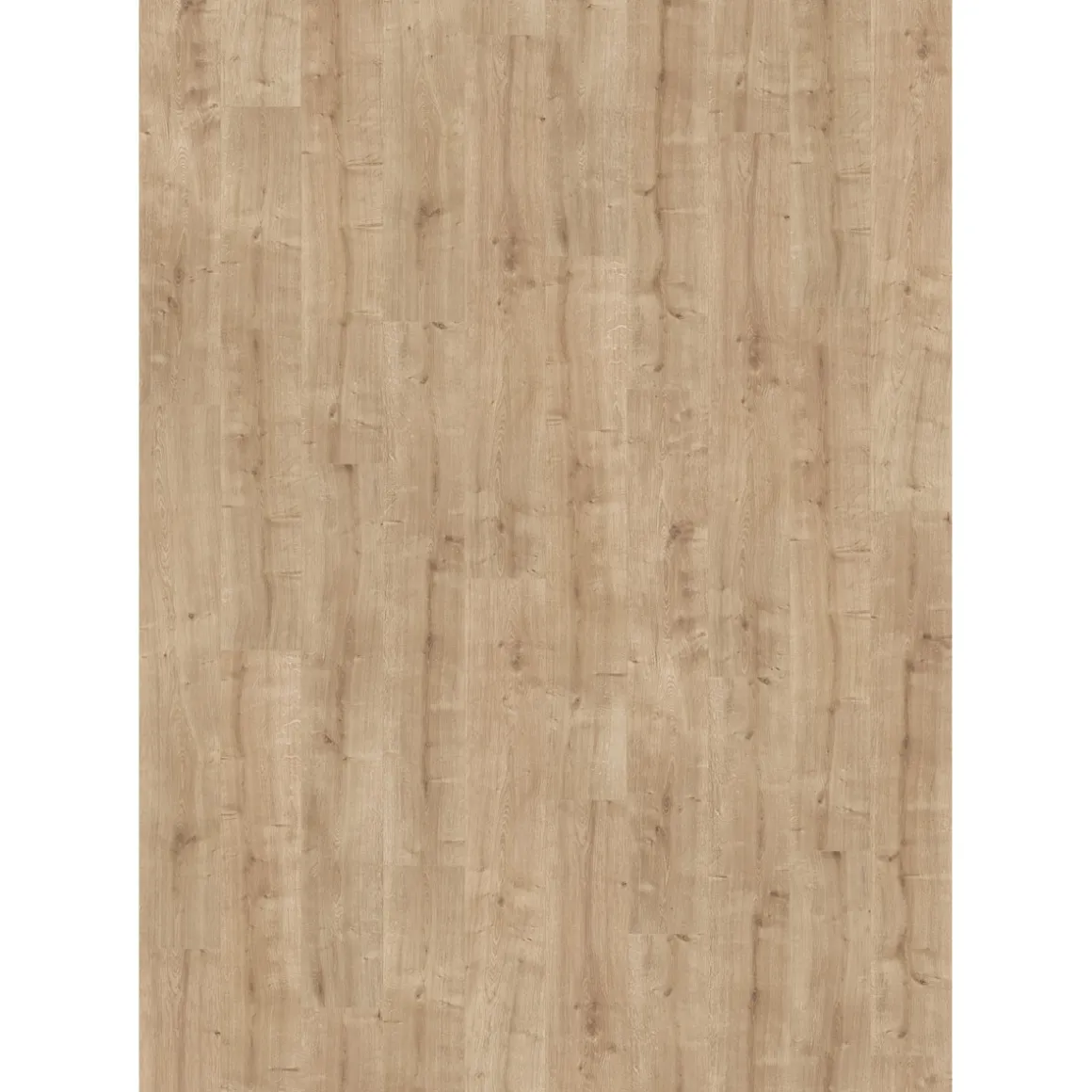 Parador Laminatboden „Basic 400“, Eiche geschliffen, Seidenmatt Struktur, 19,4x128,5 cm