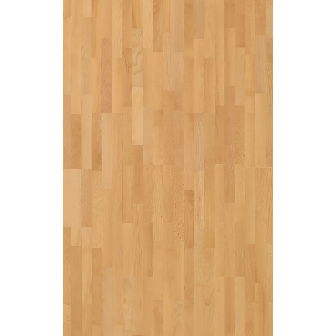 Parador Parkett „Basic 11-5“, Natur Buche, matt lackiert, 18,5x10 cm