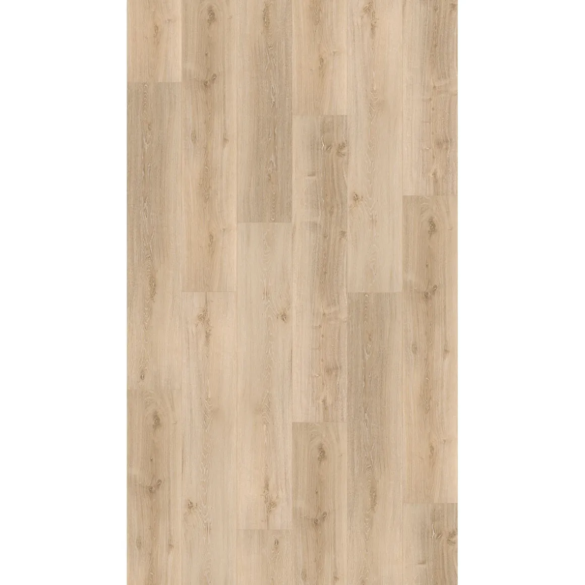 Parador Vinylboden Basic 5.3 Eiche Royal hell gekälkt gebürstete Struktur 22,5 x 120,9 cm