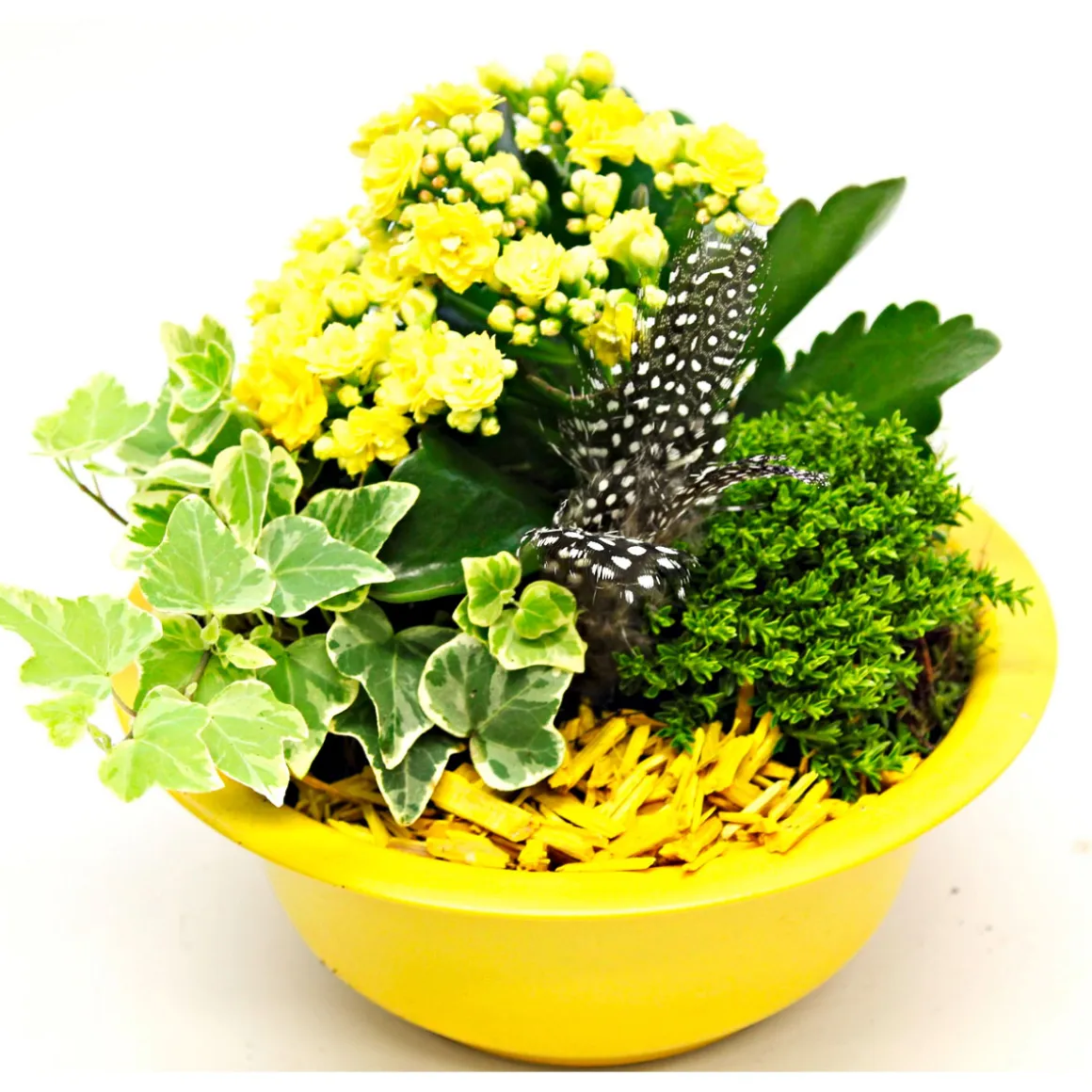 Plantiflor Bepflanzte Gefäße mit Oster-Deko