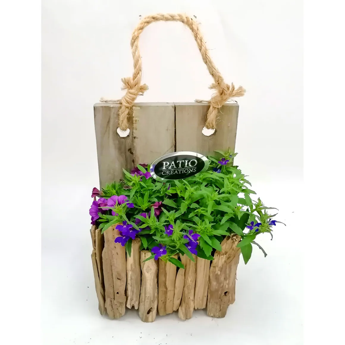 Plantiflor Bepflanztes Gefäß 20 x 12 cm Wandhänger