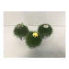 Plantiflor Sternmoos-Mix T5,5