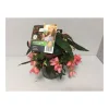Plantiflor Knollenbegonie Summerwings T12