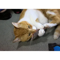 Schmusekissen Classic mit Katzenminze versch Farben