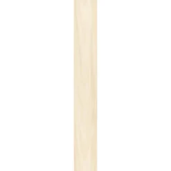 Specht Ambiente Paneel 10mm Birke hell