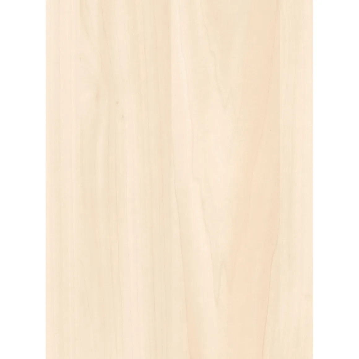 Specht Ambiente Paneel 10mm Birke hell
