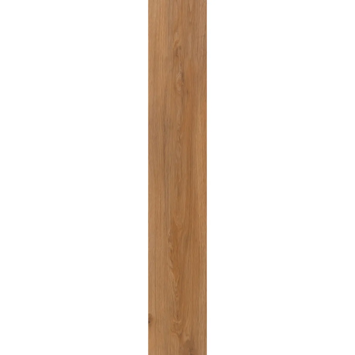 Specht Vinylboden Vinyl SPC Ambiente Avignon Eiche 1220 x 230 x 4,8 mm