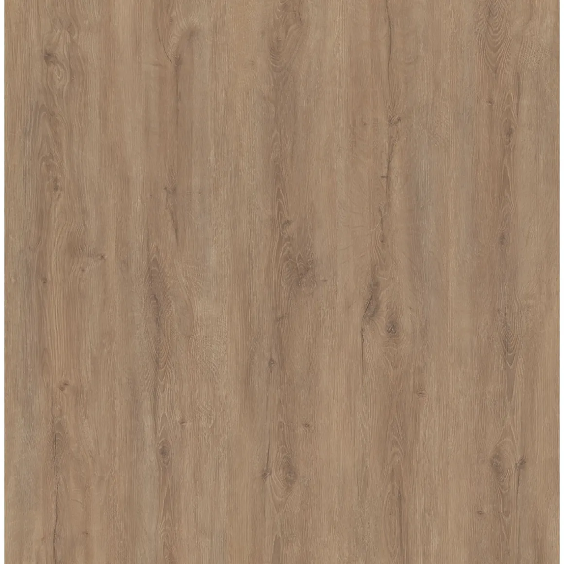 Strong SPC Vinylboden Louisiana 122 x 228 x 3,8 mm