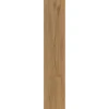 Strong SPC Vinylboden Tennessee 122 x 228 x 3,8 mm