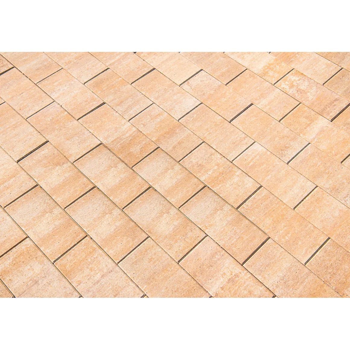 Terrassenplatte No. 1 Light Sandstein ca. 40 x 20 cm
