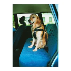Trixie Auto-Geschirr schwarz XS 20-50 cm